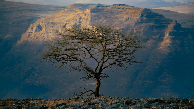 Frame 0
